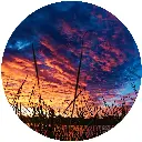 Lake Color Sunset.webp
