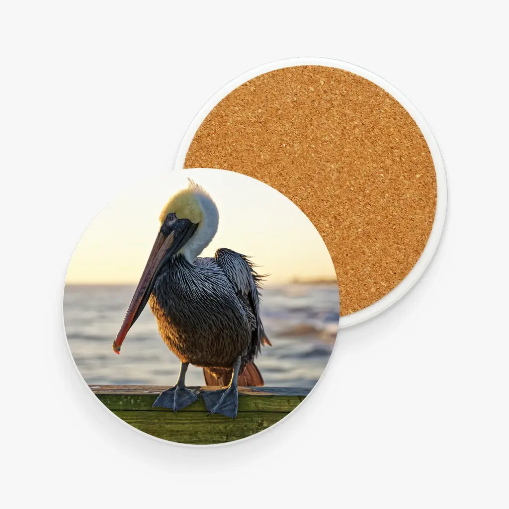 Pelican