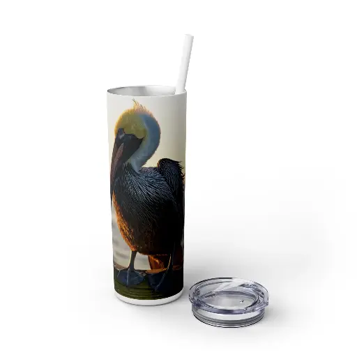 Pelican