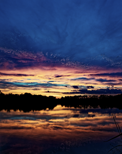 Symphony of Colors