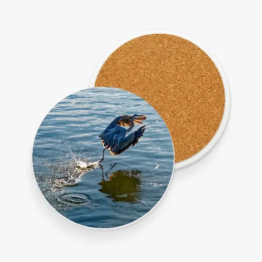 Bird Taking Off
