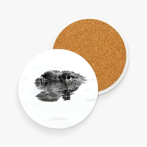 Gator